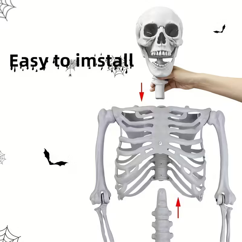 Skeleton Plastic Lifesize Prop