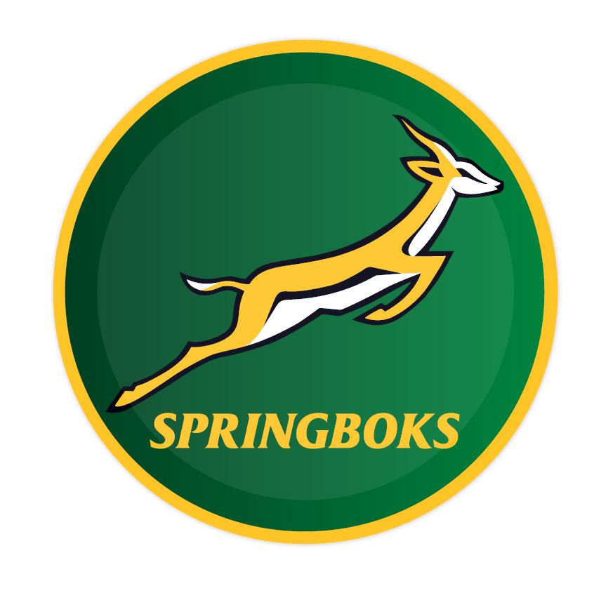 Springboks Paper Plates Pack of 8