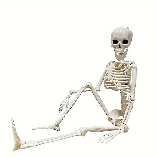 Realistic Plastic Skeleton 90cm