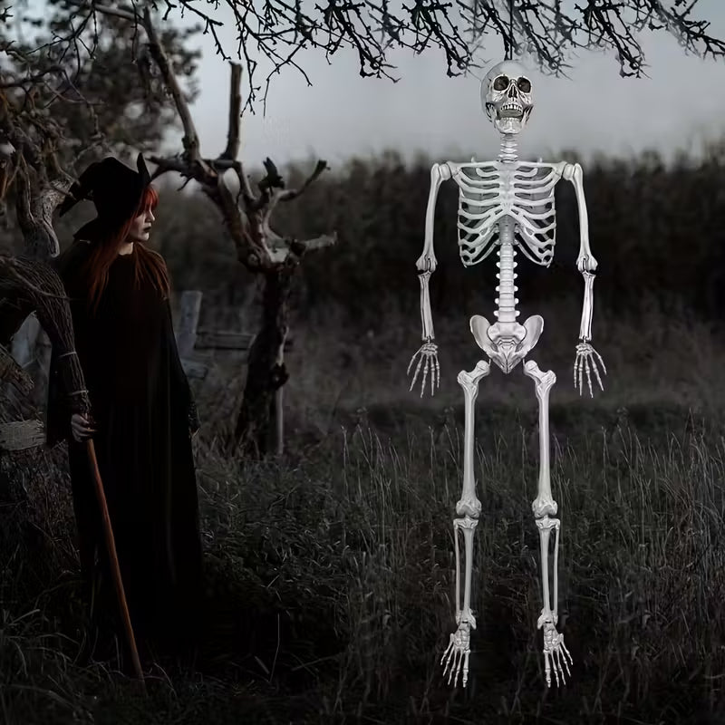 Skeleton Plastic Lifesize Prop