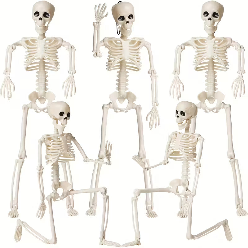 Skeleton Plastic Full Body Posable Skeleton with Movable Joints Pack of 5