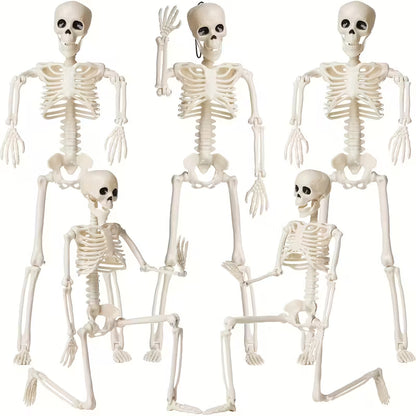 Skeleton Plastic Full Body Posable Skeleton with Movable Joints Pack of 5