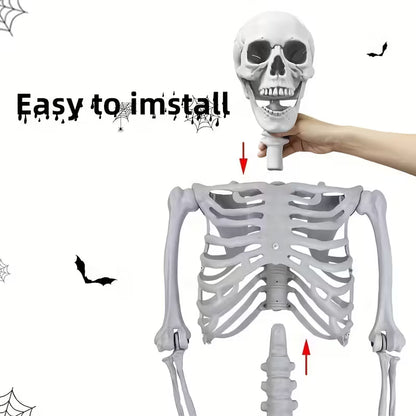Skeleton Plastic Lifesize Prop