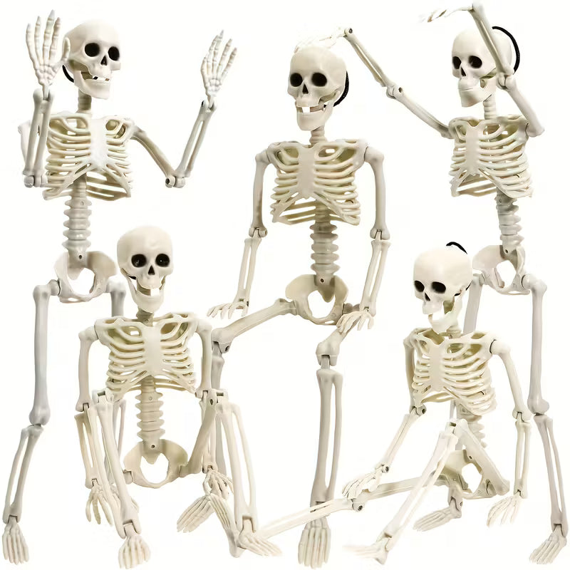 Skeleton Plastic Full Body Posable Skeleton with Movable Joints Pack of 5