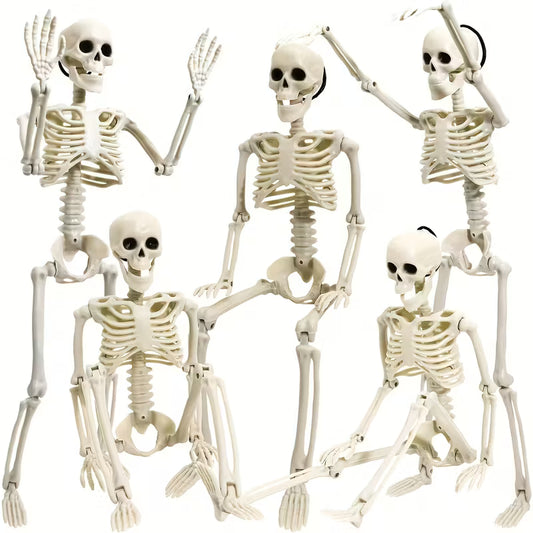 Skeleton Plastic Full Body Posable Skeleton with Movable Joints Pack of 5