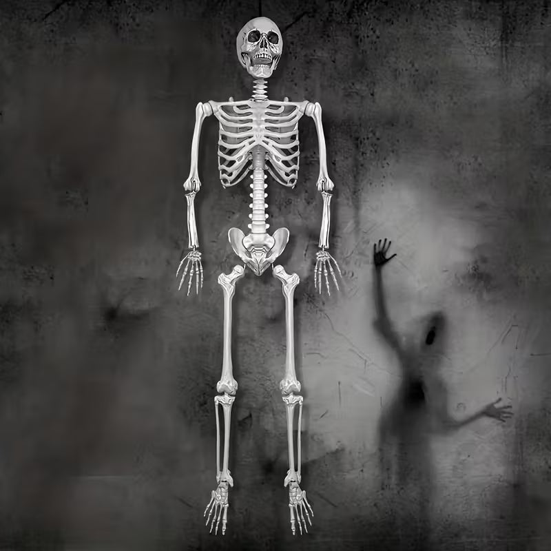 Skeleton Plastic Lifesize Prop