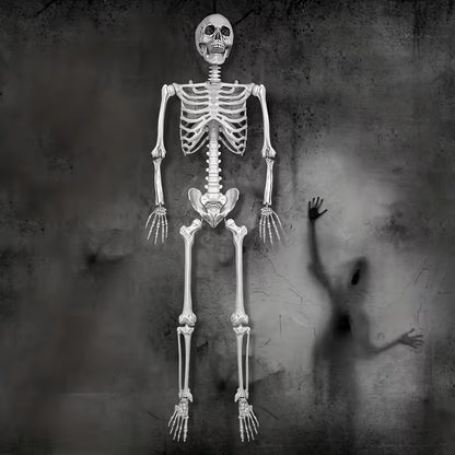 Skeleton Plastic Lifesize Prop