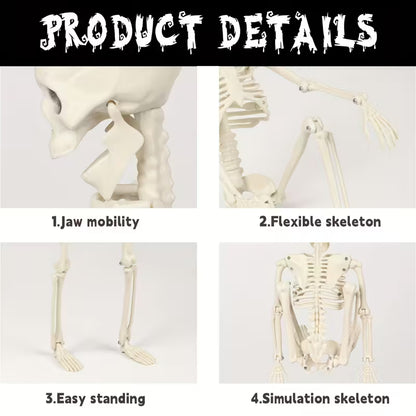 Skeleton Plastic Full Body Posable Skeleton with Movable Joints Pack of 5