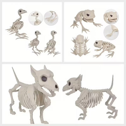 Realistic Plastic Animal Skull Decoration Pack of 3