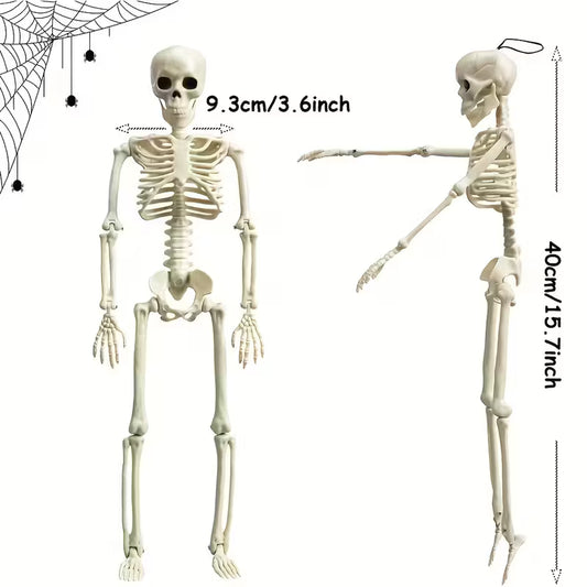 Skeleton Plastic Full Body Posable Skeleton with Movable Joints Pack of 5