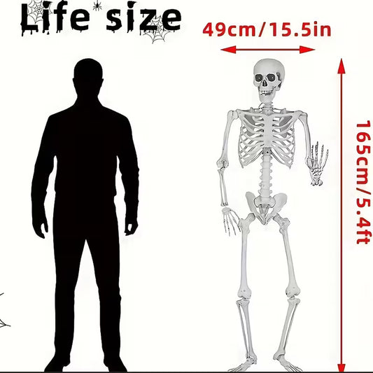 Skeleton Plastic Lifesize Prop