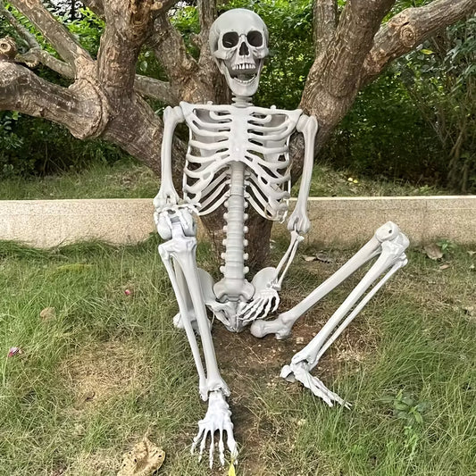Skeleton Plastic Lifesize Prop