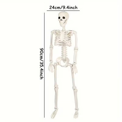 Realistic Plastic Skeleton 90cm