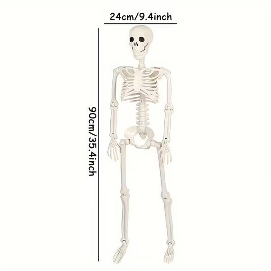 Realistic Plastic Skeleton 90cm