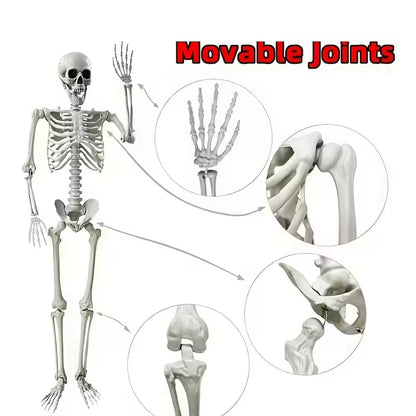 Skeleton Plastic Lifesize Prop